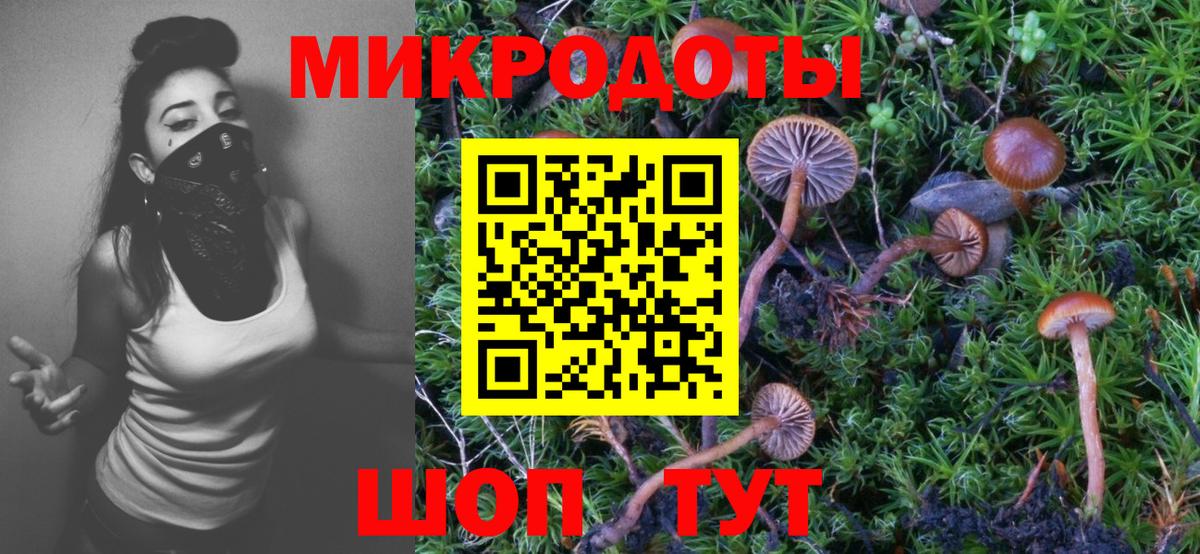 Псилоцибиновые грибы прущие грибы  Вход с VPN  Псилоцибиновые грибы Magic Shrooms  Саров 